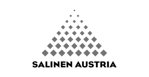 Logo Salinen grau Vorschau